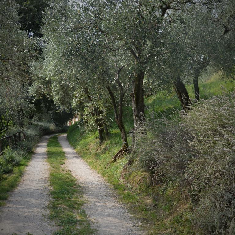 Bio Due Di Moro Guest House Gardone Riviera Bagian luar foto